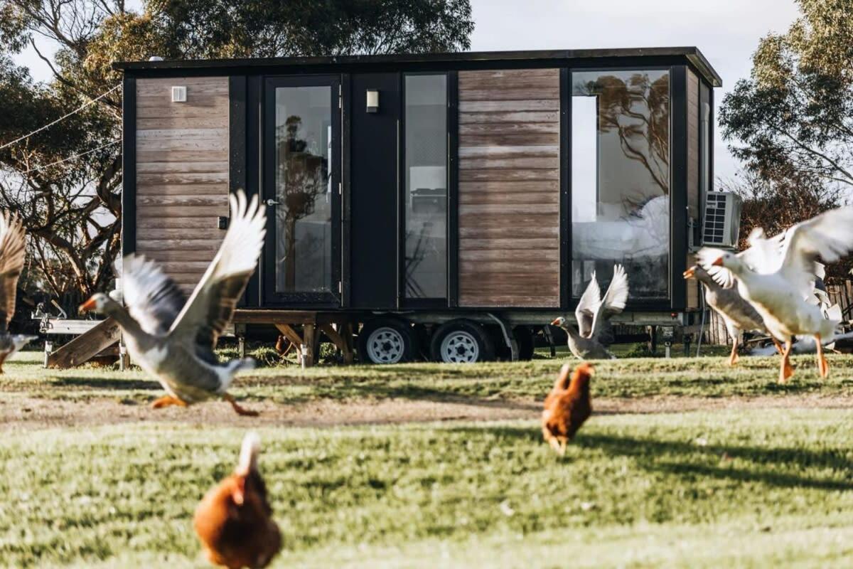 Bush Retreat 1 By Tiny Away Holiday home *