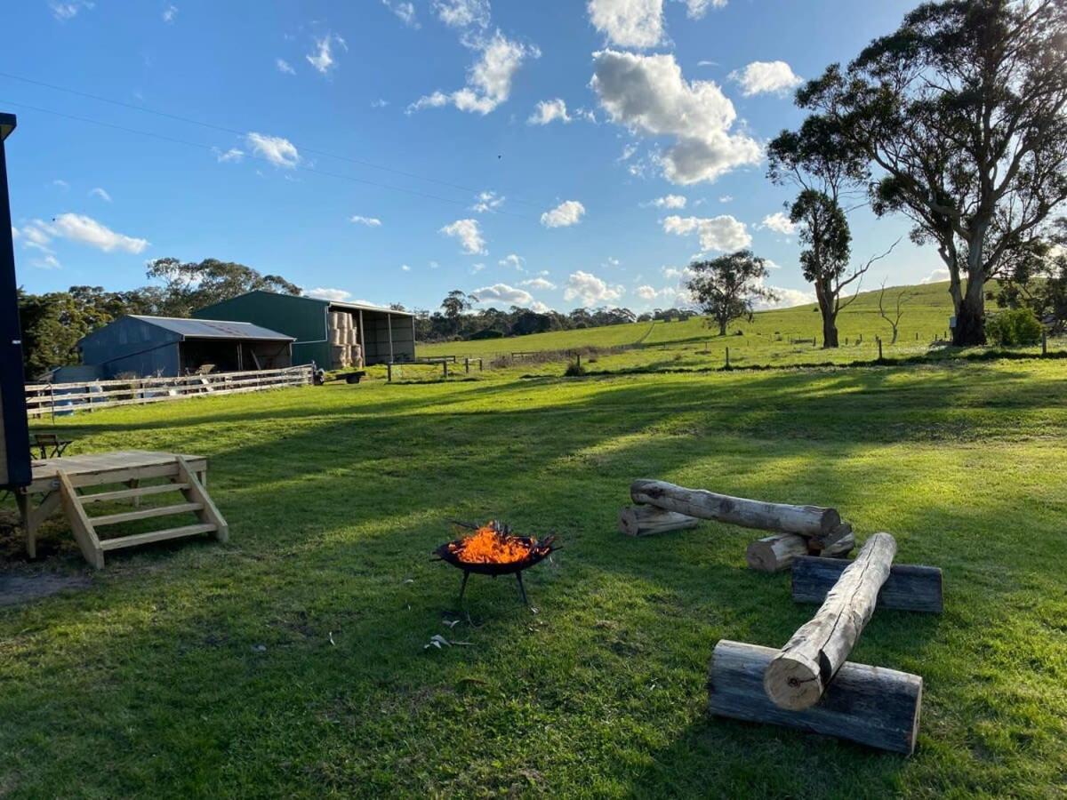Bush Retreat 1 By Tiny Away Alberton West